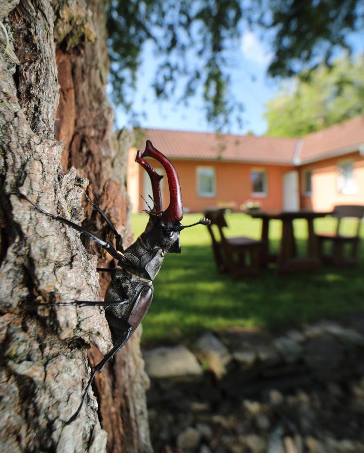 Penzion Lukov Lukov  Exterior foto